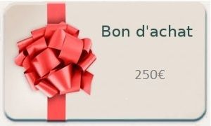 Carte Cadeau d'une valeur de 250€