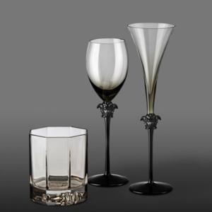 VERSACE Médusa : coffret 2 verres à vin blanc Haze